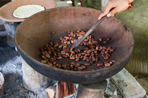cacao-3_0.jpg