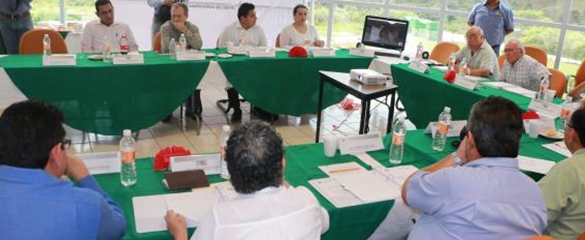 Universidad Politécnica Mesoamericana