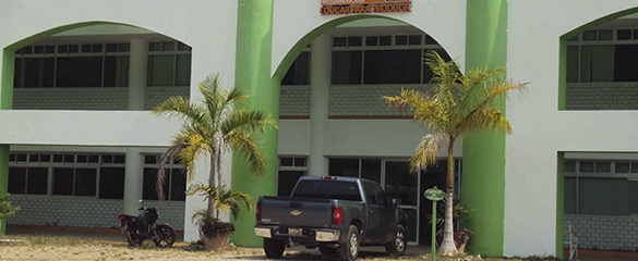Universidad Politécnica Mesoamericana