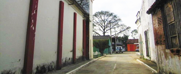 Jalapa