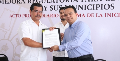 REGULATIVO 