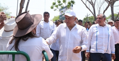 VIVERO