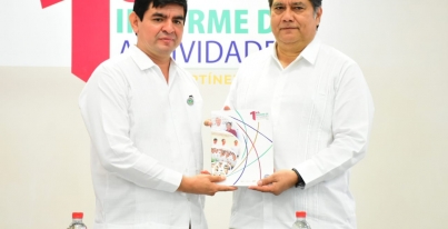 Primer Informe