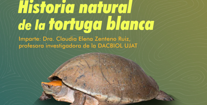 CHARLA