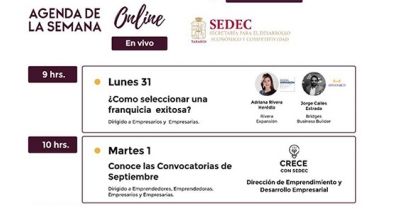 SEDEC-31