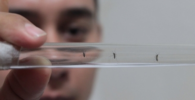 DENGUE