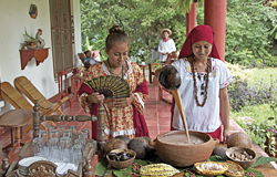 Haciendas Cacaoteras