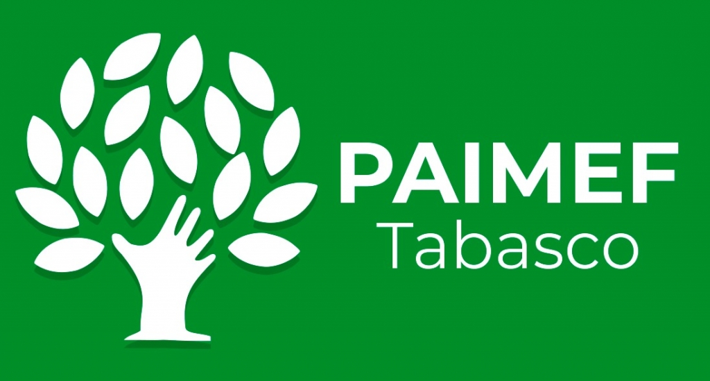 PAIMEF.jpg