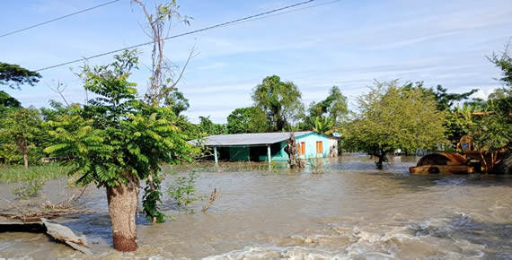 boletin 3 15-10-24.jpg