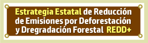 banner_eeredd.jpg