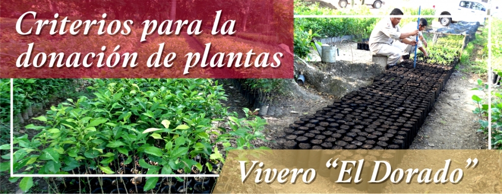criteriosvivero_l.jpg