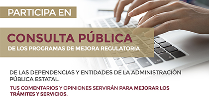 CONSULTA PUB_0.png