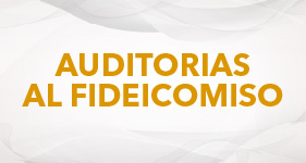 cuadro_auditorias_fideoicomiso-02.jpg