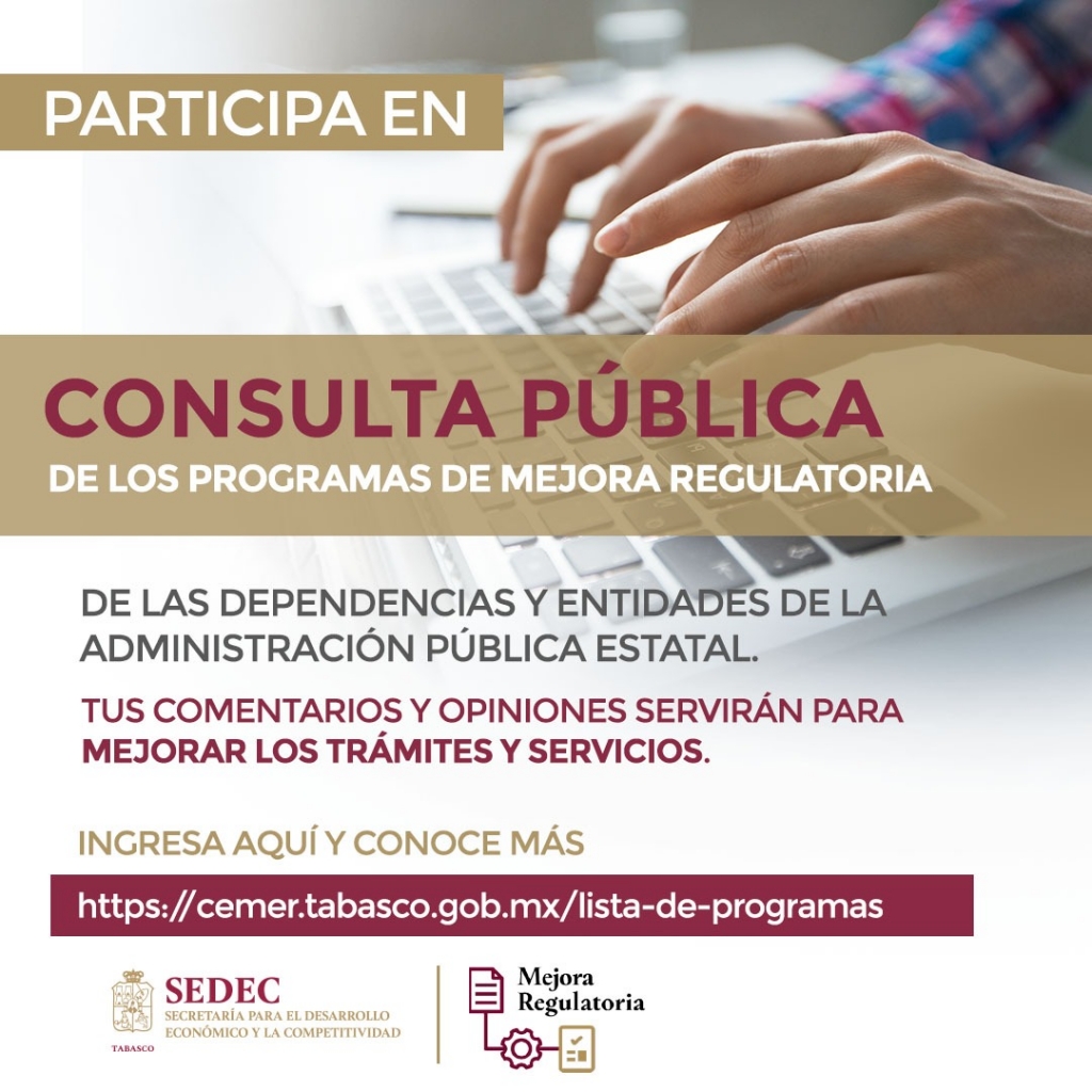 Consulta%20Publica%20final.jpg