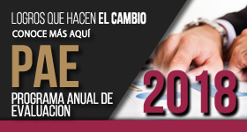 banner PAE_2018b.jpg