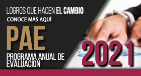 banner PAE_2021.png