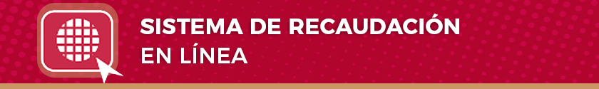 banner-recaudacion-linea_0.png