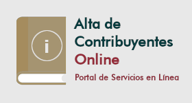 manual-online.png