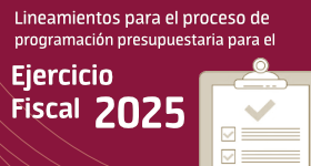 nuevos-lineamiento2025.png