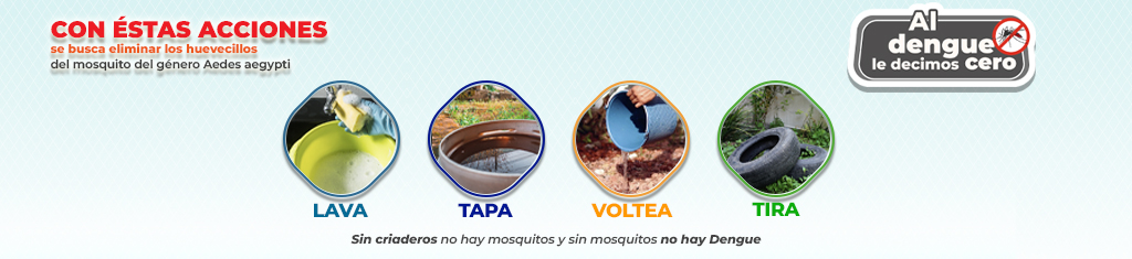 dengue 1024x235.jpg