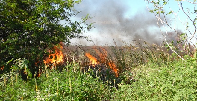 FOTO INCENDIO (3).jpg
