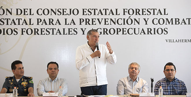 FOTO SECTOR FORESTAL  (3).jpg