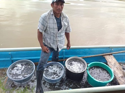 FOTO SEDAFOP (8).jpeg