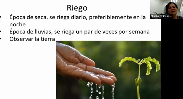 Imagen2_17.jpg