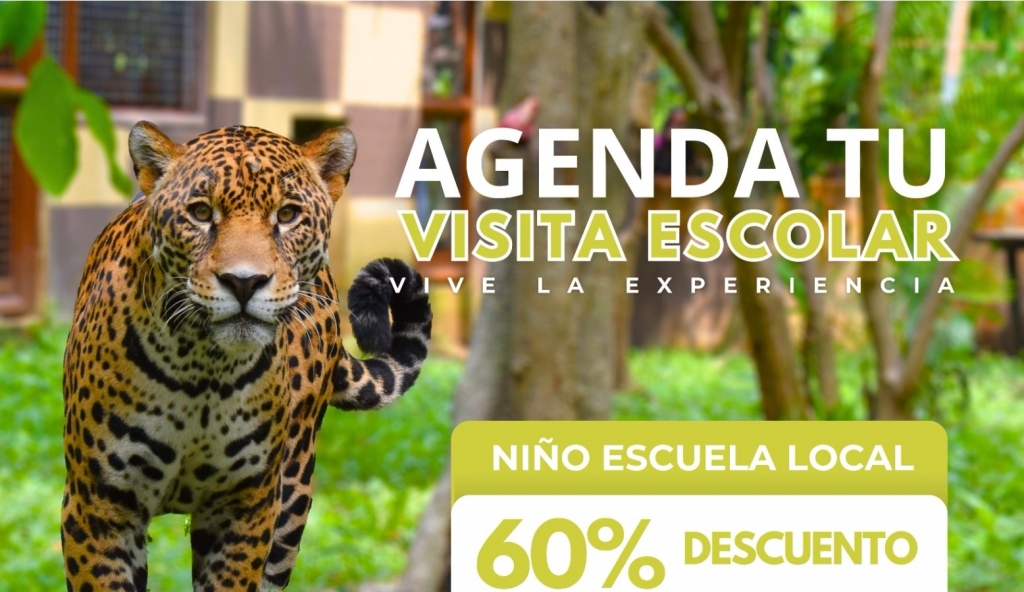 Agenda tu visita escolar